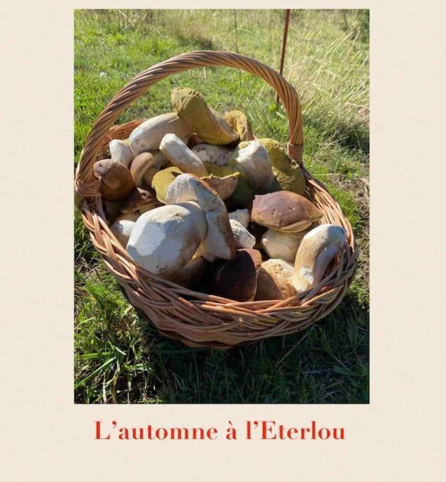 Вилла L'Eterlou Authentique Partie De Corps De Ferme 10Pers. Targassonne Экстерьер фото